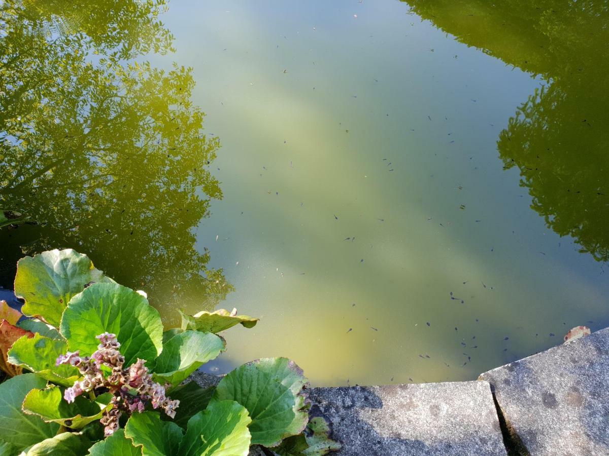 Ferienwohnungen Josef & Karin Ketterl Sachrang Exteriör bild